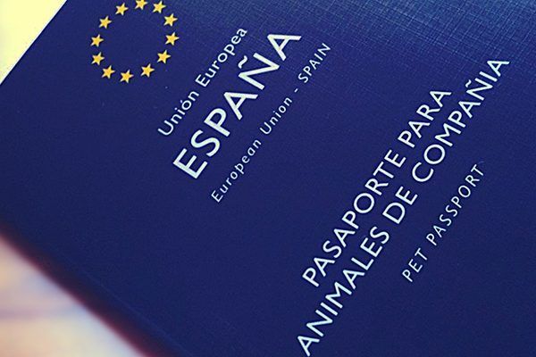 comprar pasaporte europeo